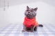 Orange Red (личные вещи не подлежат возврату)