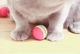 Эластичная радужная игрушка, домашний питомец, кот, 3 шт