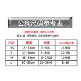 Пятницы для собак с собаками, чем питомец