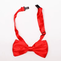 Красная галстук-бабочка