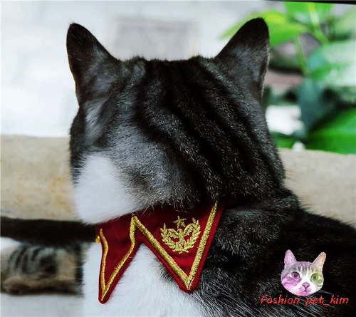 Униформа, галстук-бабочка, милый колокольчик, домашний питомец, кошки и собаки