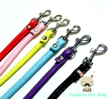 Милый колокольчик, чокер, домашний питомец, кошки и собаки