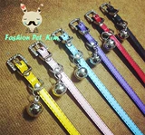 Милый колокольчик, чокер, домашний питомец, кошки и собаки