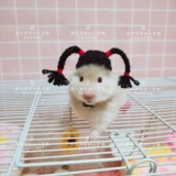 [Вейхуа торт дом]