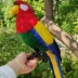 Chim mô phỏng, lông thật, đạo cụ mô hình vẹt nhiều màu sắc, đồ trang trí, đồ chơi chim giả, mặt dây chuyền búp bê trang trí động vật dép đi trong nhà cho bé trai Trang chủ
