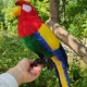 Chim mô phỏng, lông thật, đạo cụ mô hình vẹt nhiều màu sắc, đồ trang trí, đồ chơi chim giả, mặt dây chuyền búp bê trang trí động vật