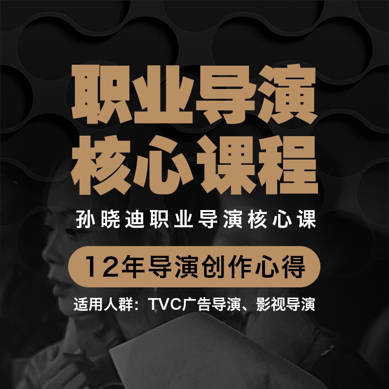 职业导演核心课视频教程知名广告影视电影电视编导制作拍摄教程课