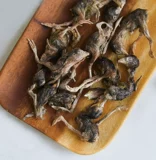 Замороженные сушеные перепелы кошачья кошка закуски сырая кость замороженная сушеный мясной котенок пищевой пищевой пищевой пищевой