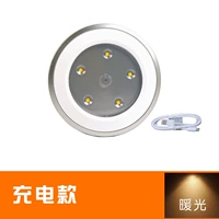 Модель 1000 мА теплый белый (без пульта дистанционного управления)