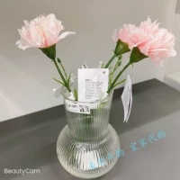 [Ikea ikea] Путельраг ваза обеденный стол прозрачный стеклянный цветочный расположение украшения размещенные вазы