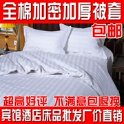 Khách sạn lanh giường gói mã hóa email dày bông đồng bằng satin chăn đặc biệt 3 cm - Quilt Covers