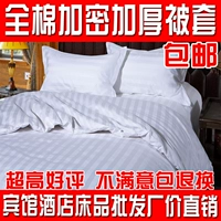 Khách sạn lanh giường gói mã hóa email dày bông đồng bằng satin chăn đặc biệt 3 cm - Quilt Covers chăn ga gối đệm đẹp