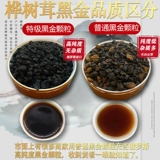 Березовая дикаря Россия импортировала дикая подлинная белая береза ​​Береза ​​Березовая коричневая гриб белый березу черный золото a pound