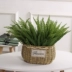 Cỏ Ba Tư cỏ nhựa nhân tạo hoa giả hoa nụ hoa ngoài trời trang trí giường hoa với cỏ xanh phòng khách hàng loạt - Hoa nhân tạo / Cây / Trái cây Hoa nhân tạo / Cây / Trái cây