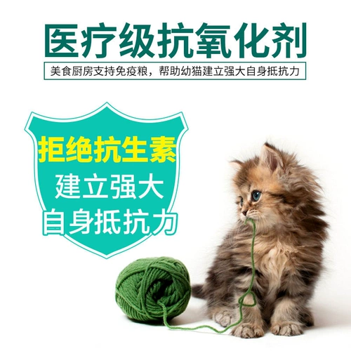 Еда кухня Kitcat Cat Food поддерживает иммунную формулу натуральную редкую беременность, грудное вскармливание грудью корм