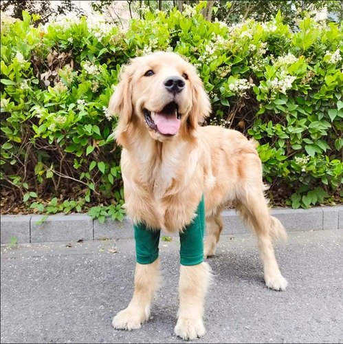 Наколенники, гетры, нарукавники, дорожные налокотники для выхода на улицу, белый слюнявчик, анти-грязь