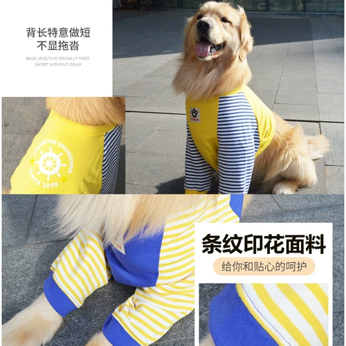 Shiba Inu Bian Musana Musana Dog's Dog's Dog's Pad На передней ноге, чтобы защитить золотой локоть золотисто