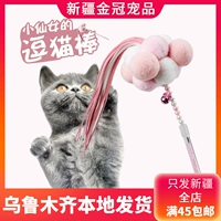 Забавный кошачий кошачий кошка шариковые котенок котенок котенок кот кот, кошачьи перья