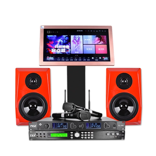 TXA X9 Family KTV Audio Set Home маленький кара -ok -динамик один -один плюс портал