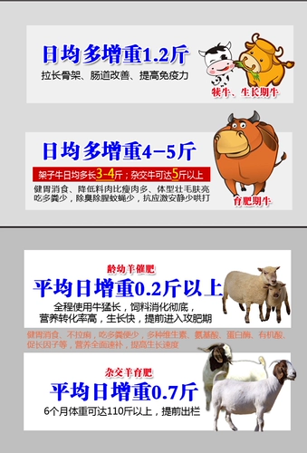 Корова -коровье корм для добавок желудочного белка для белка для заболевания гибридных гибридных гибридных гибридных гибрид