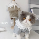 Хлопковая футболка, рубашка, мягкая кукла, домашний питомец, кукольный воротник, Южная Корея, кот