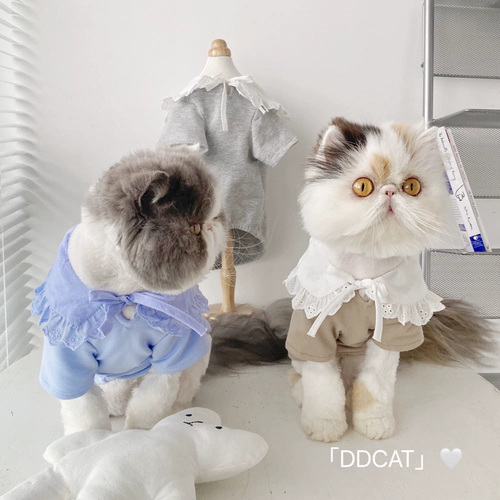 Хлопковая футболка, рубашка, мягкая кукла, домашний питомец, кукольный воротник, Южная Корея, кот