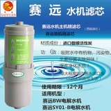 Tianjin Saiyuan Filter Electric Electric Water Filter EC450 Прямая пуритная очиститель воды Оригинальный кокосовый оболочка активированное углерод
