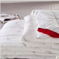 Южное постельное белье домашний текстиль, подлинное анти -медить антибактериальное два -в одном стеганом одеяле -Зимнее специальное специальное предложение о зимнем зимнем