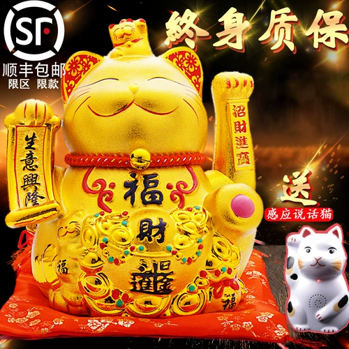 Золотой электрический коктейль кошачья кошка качание крупно