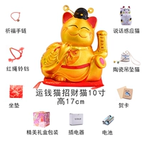 10 -INCH MANGE CATS [Высота