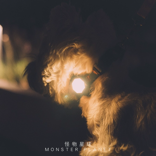 Ночь Laroo Laeno's Walking Dog Light -подвеска с легким пикапом собаки