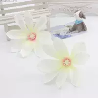 Розовый ядро