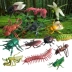 Giáo dục mầm non giáo dục đồ chơi mô phỏng côn trùng đồ chơi mô hình động vật nhựa mô hình côn trùng 1-2-3-6 tuổi - Đồ chơi gia đình