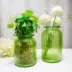 Bình thủy tinh đựng dụng cụ thủy tinh kiểu IKEA * bình hình chữ nhật song song * bình thủy canh - Vase / Bồn hoa & Kệ gáo dừa trồng lan Vase / Bồn hoa & Kệ