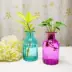 Cửa sổ phòng tắm ngưỡng cửa mục vụ xuất khẩu châu Âu thủy tinh cây mọng nước trồng cây xanh - Vase / Bồn hoa & Kệ