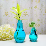 Hồ bóng đèn màu xanh trong nhà làm vườn đồ nội thất máy tính để bàn nước thủy văn hóa nước thủy tinh trang trí nhà trang trí - Vase / Bồn hoa & Kệ