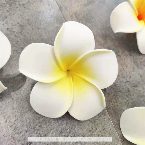 Plumeria очки магазин прилавок украшения реквизит очки витрина реквизит фотосъемка фон реквизит