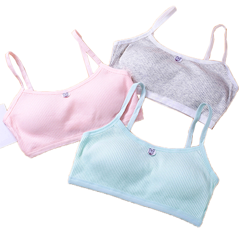 Girl's Developmental Vest Middle School Children's vest rimless bra summer  cotton girl underwear 8-16 years old thin -  - Buy China  shop at Wholesale Price By Online English Taobao Agent