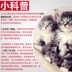Madian Lao Zhao Red Dog Cat Kem dưỡng tóc chăm sóc tóc Đi bóng tóc Điều hòa tiêu hóa Làm đẹp tóc Tràn kem 120g - Cat / Dog Health bổ sung Sữa bột cho chó con mới đẻ Cat / Dog Health bổ sung