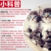 Madian Lao Zhao Red Dog Cat Kem dưỡng tóc chăm sóc tóc Đi bóng tóc Điều hòa tiêu hóa Làm đẹp tóc Tràn kem 120g - Cat / Dog Health bổ sung bio milk cho mèo Cat / Dog Health bổ sung