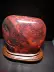 Mô hình tự nhiên trang trí ban đầu đá Quế Lâm gà máu ngọc rùa rùa Xianbao rồng rùa đồ trang trí may mắn các nhà sản xuất đặc biệt cung cấp vòng tay ngọc bích Ngọc bích