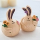 Fat Rabbit Big Pare