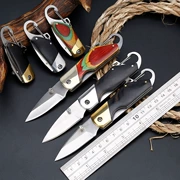 Dao mini đa chức năng cầm tay túi chìa khóa gấp dao ngoài trời leo dao sống sót dao cắt trái cây cầm tay - Công cụ Knift / công cụ đa mục đích
