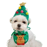 Кошка сбивает рождественский питомец мужчина рождественская шляпа кошка рождественская елка, шляпа, собака, собака, вода, рождественские фото украшения