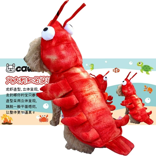 Интернет -знаменитости с той же самой одеждой для домашних омаров осень и зимние кошки и собаки превращаются в Тедди Корди Кошки и Собаки Смешная одежда