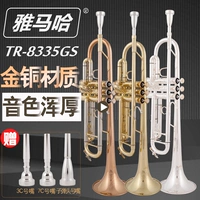 Yamaha Trumpet 8335GS Труба -инструмент B -Таннирование серебряного покрытия 4335 Тест старта