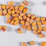 Ziotang Ginkgo -de -Shell Ginkgo высушенные белые фрукты Гинкго фрукты лекарства сырой биологический биологический биологический биологический белый серная сера без серы без серы нет серы нет