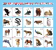 Мультфильм животных/20 таблеток/5 см