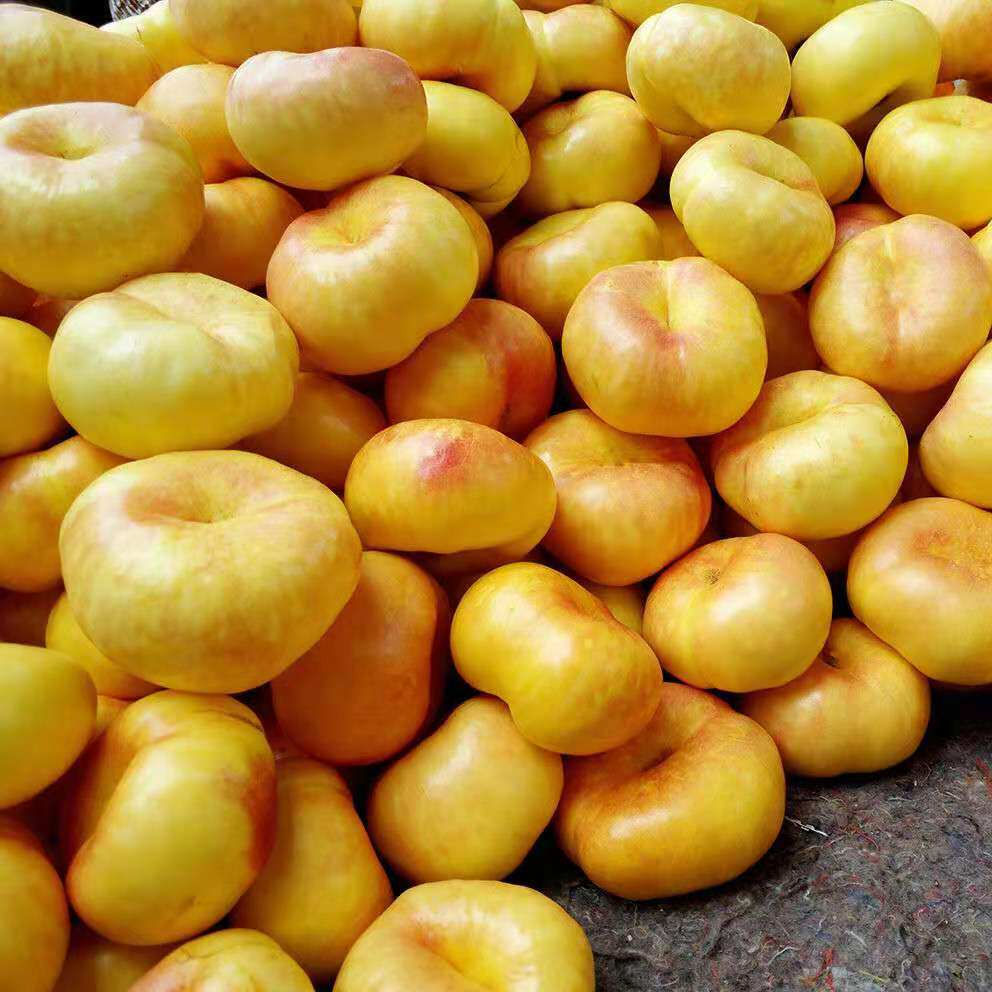 脆甜黄金油蟠桃5斤
