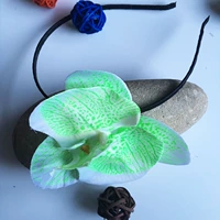 Флуоресцентный ободок